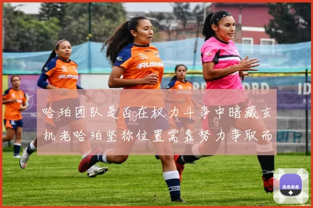 哈珀团队是否在权力斗争中暗藏玄机老哈珀坚称位置需靠努力争取而非索要